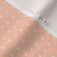 XS Ocean Breeze Hot Chips and Seagull Frenzy salmon pink apricot background