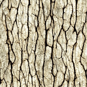 Textured and Tonal Nature Tree Bark - Neutral - Large