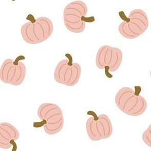Blush pink pumpkis 6in