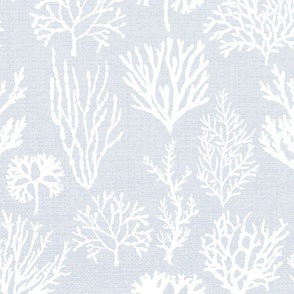 Corals White on Pale Blue