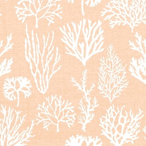 Corals White on Coral