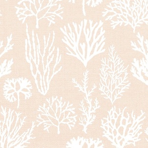 Corals White on Beige