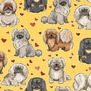 The Pekingese Dog - On Yellow