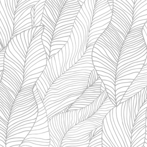 sketched leaf  - white and grey