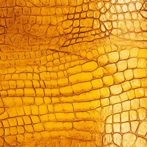 Citrine Yellow Alligator Skin 5