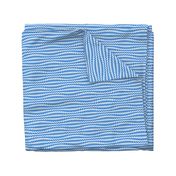 Blue and white geometric wavy stripes.