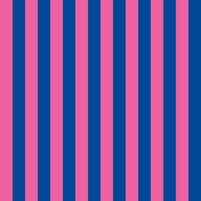 Hot pink and navy stripes_0.5 inch stripes