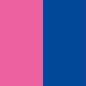Hot pink and navy stripes_4 inch stripes