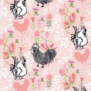 Black and white roosters in pink