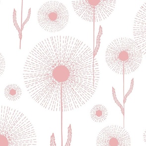 large - Dandelion clock field - tea rose pink blowballs on white
