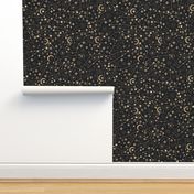 constellation black plain