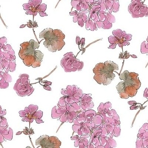 Geranium floral bouquets - pink pastel