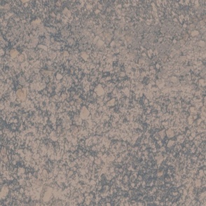 SANDY AND ROCKY TEXTURE IN TONAL BEIGE 150DPI