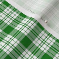 FS Forest Green and White Check Plaid 