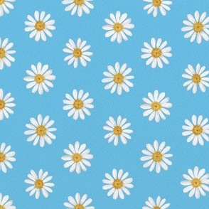 White daisy on sky blue 24in