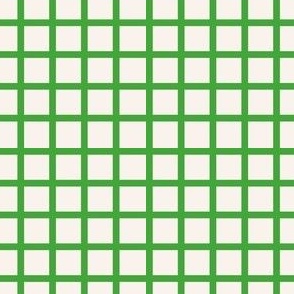 Bright Green & White Checks