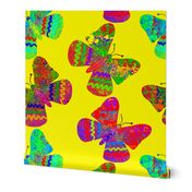 Cute Colorful Butterfly Wall / Multicolor Butterflies 