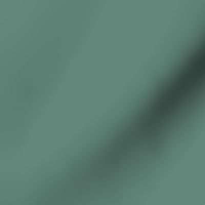 Green Teal Plain Solid Color 64877c