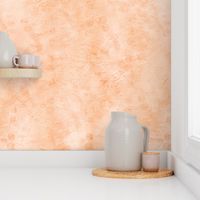 Rustic Fresco Wall Texture Peach Fuzz