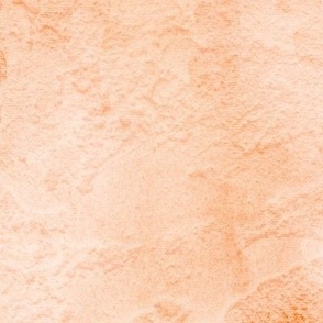 Rustic Fresco Wall Texture Peach Fuzz