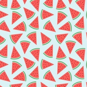  Watermelon, summer fruit on light blue