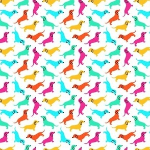 XS Bright Summer Dachshund's, tossed 