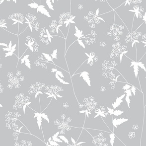 Cow parsley on silver grey