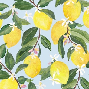 Watercolor Lemons and Blossoms - large
