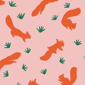 Squirrel Orange Pink