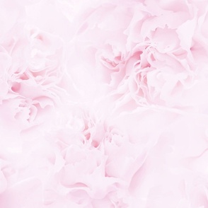 Dreamy Floral Texture // Soft Pink