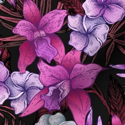 Tropical purple summer flowers, plumeria, Orchid