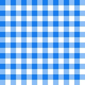 Gingham bright blue half inch vichy checks, white, plaid, cottage core, traditional, country