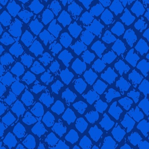 painted fishnet_classic blue on royal blue