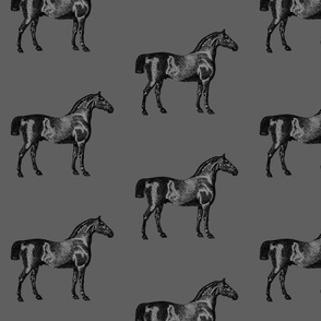 Vintage Horse Illustration in Black and Silver Gray