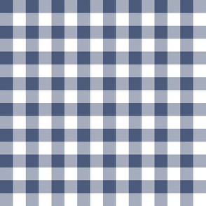 Gingham dark slate blue half inch vichy checks, white, cottagecore, traditional, country, steel blue, gray blue