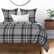 Tartan Stewart in Gray, Large