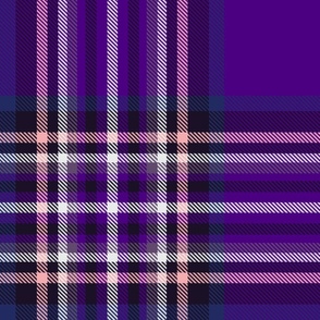 Tartan Stewart in Violet Purple, Large