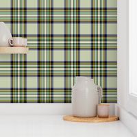 Tartan Stewart in Soft Sage Green, Small