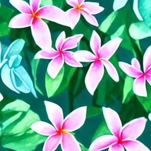 Hawaiian Pink Plumeria Frangipani 