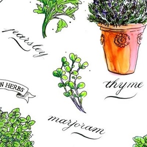 Hand drawn Potted Italian Kitchen Garden  Herbs and Names