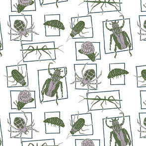 Scribbly Creepy Crawlies