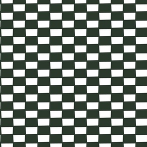 freshly-picked-checkered-2-maebywild