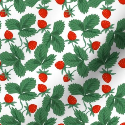 freshly-picked-strawberry-patch-maebywild