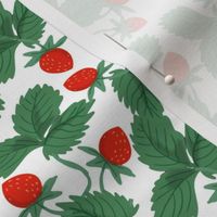 freshly-picked-strawberry-patch-maebywild
