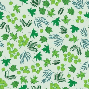 Maple, Birch, Willow, Mountain Ash, and Aspen Leaves in Spring Greens Scattered on a Pale Green Background