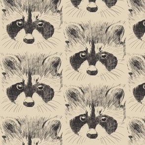 Sweet raccoon natural white - small scale
