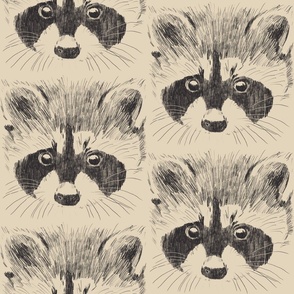 Sweet raccoon natural white - large scale