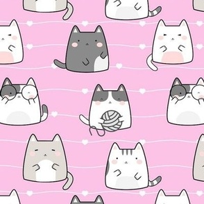 cute cats in pink