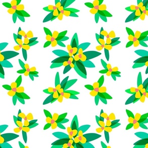 Plumeria | Frangipani | Yellow and Green