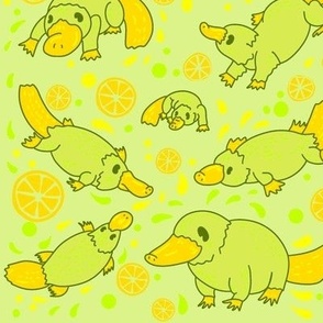 Citrus Platypus 